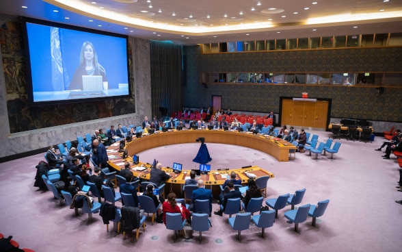 Vue de la table en fer à cheval du Conseil de sécurité de l'ONU.