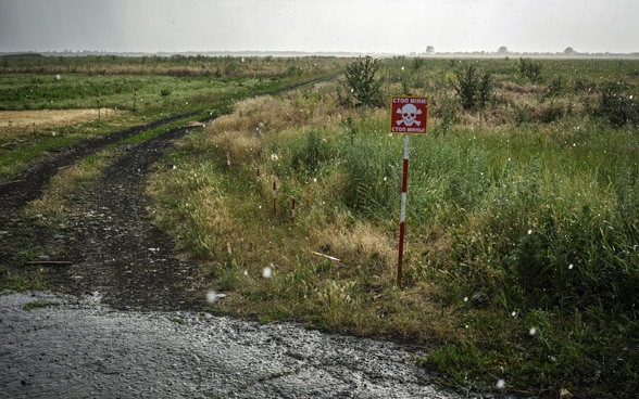 Eine Tafel warnt vor einem Minenfeld in der Ukraine.
