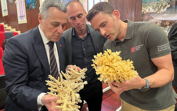 Ignazio Cassis steht neben einem Experten der EPFL und hält Korallen in der Hand.  