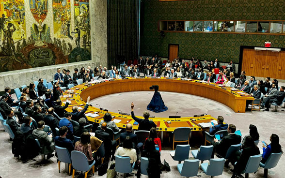 Le Conseil de sécurité de l'ONU vote.