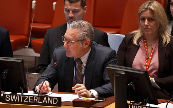 Botschafter Thomas Gürber spricht im UNO-Sicherheitsrat.