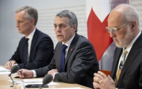 Bundesrat spricht sich für fakultatives Referendum aus