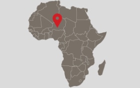 Swiss woman kidnapped in Niger