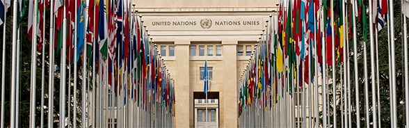 Illustration des drapeaux des États membres des Nations Unies flottant devant le Palais des Nations à Genève en 2014