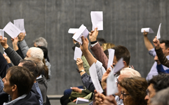 Linee guida sulla democrazia 2025–2028