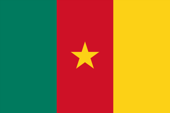 Bandiera Camerun