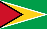 Flag Guyana