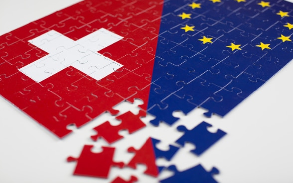 Puzzle Schweiz und EU