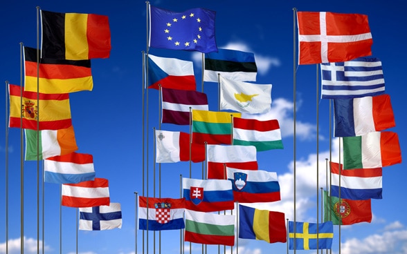 L'immagine mostra le bandiere degli Stati membri dell'UE.
