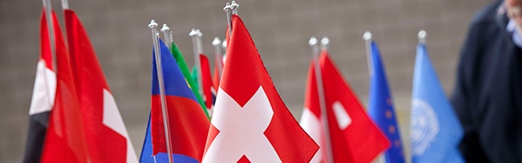 Bandiere di Paesi e istituzioni
