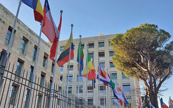 UN FAO Headquarter Building with many flags of different countries.