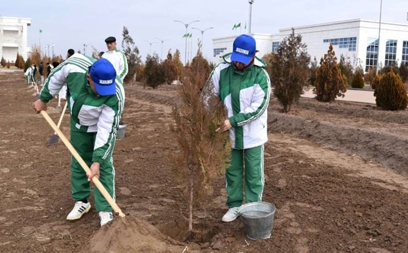 Deux hommes plantent un arbre.