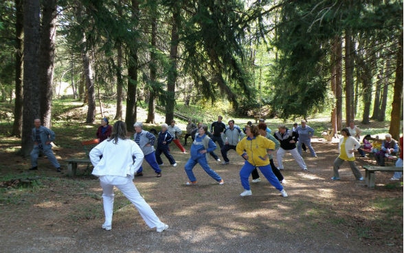 Groupe sportif dans la forêt