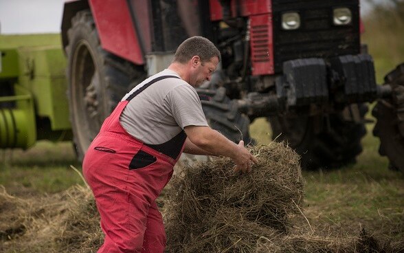 A man haying.