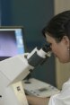 Una donna al lavoro a un microscopio in un laboratorio di ricerca.