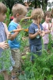 A group of children playing in an organic school garden in Slovenia