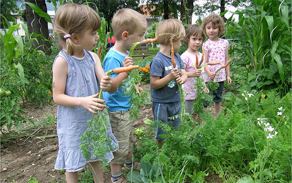 A group of children playing in an organic school garden in Slovenia